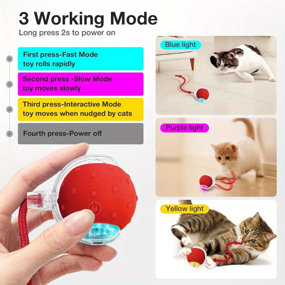 Cat and Dog Food, Pet toys,Treats, and Supplies | Free Shipping at yppet.com