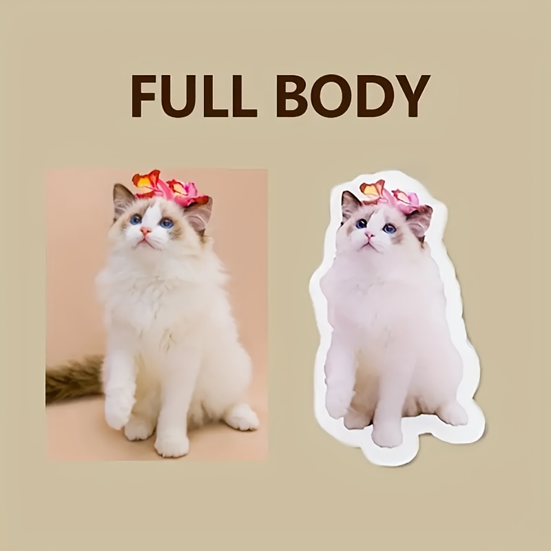 Cat and Dog Food, Pet toys,Treats, and Supplies | Free Shipping at yppet.com