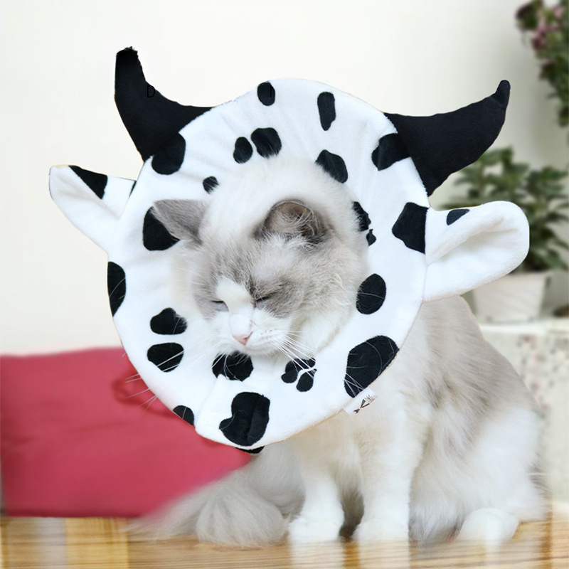 Cat and Dog Food, Pet toys,Treats, and Supplies | Free Shipping at yppet.com