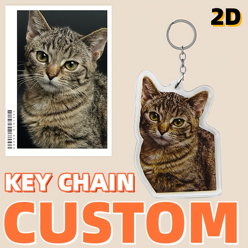 Cat and Dog Food, Pet toys,Treats, and Supplies | Free Shipping at yppet.com