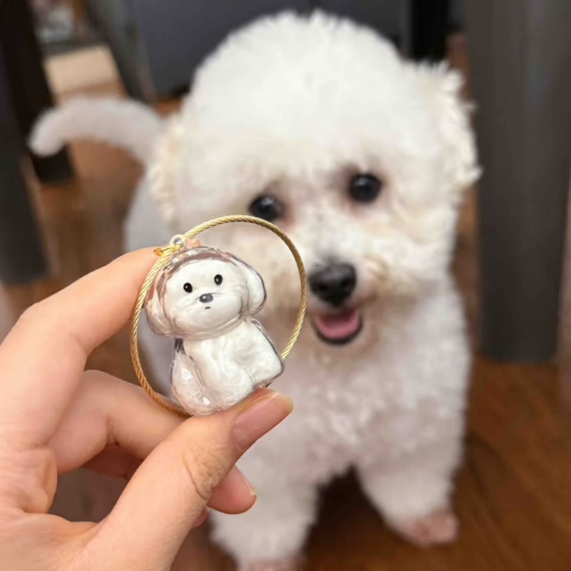 Cat and Dog Food, Pet toys,Treats, and Supplies | Free Shipping at yppet.com