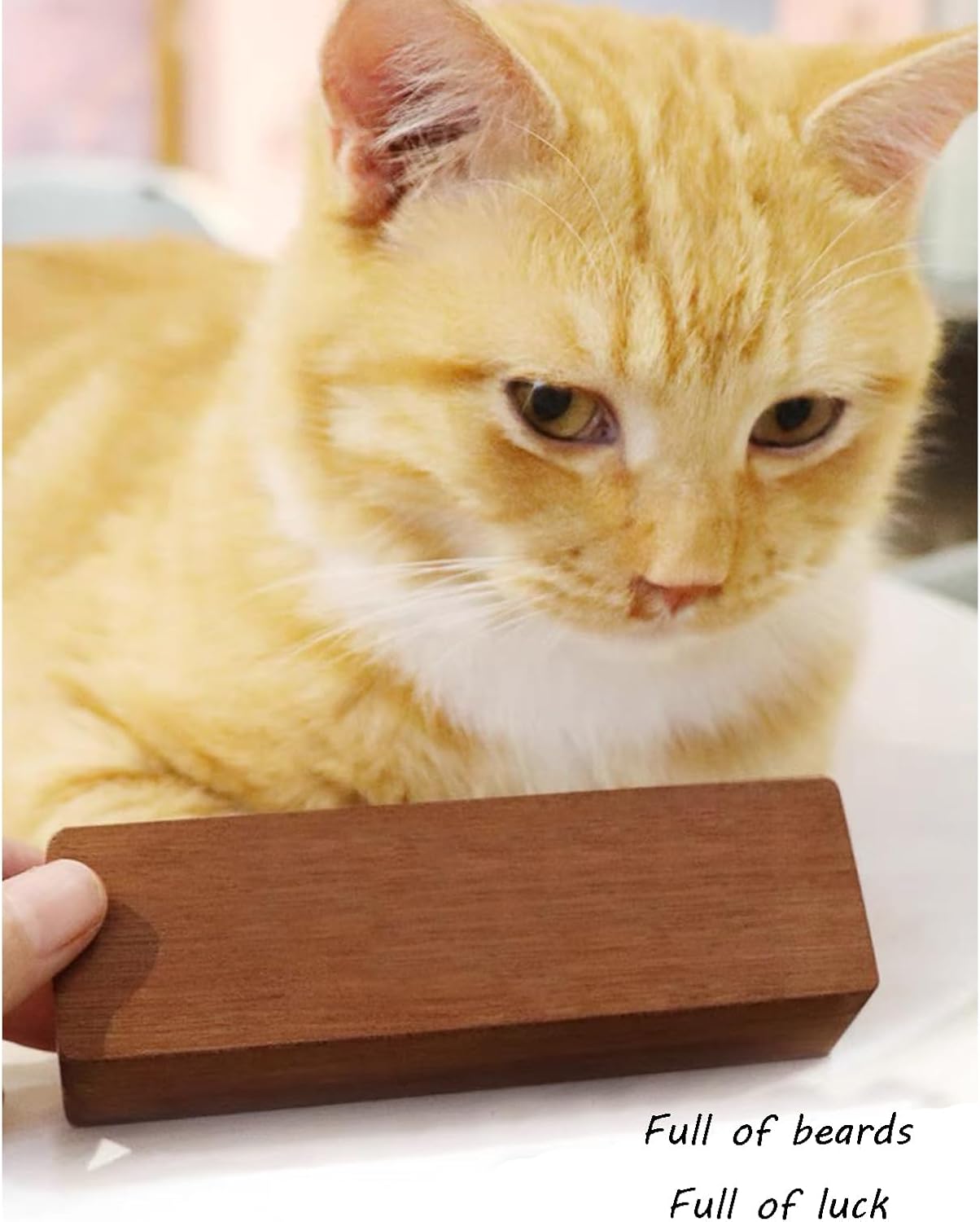 Cat and Dog Food, Pet toys,Treats, and Supplies | Free Shipping at yppet.com