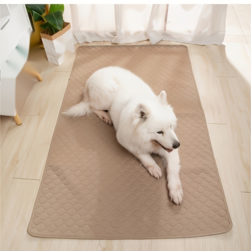 Cat and Dog Food, Pet toys,Treats, and Supplies | Free Shipping at yppet.com