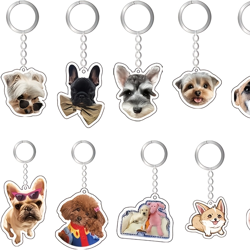 Cat and Dog Food, Pet toys,Treats, and Supplies | Free Shipping at yppet.com