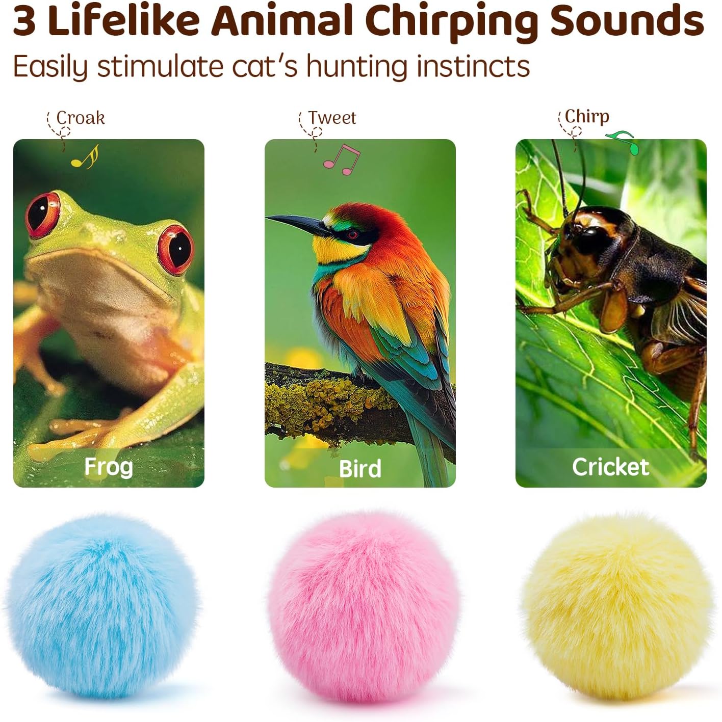 Cat and Dog Food, Pet toys,Treats, and Supplies | Free Shipping at yppet.com