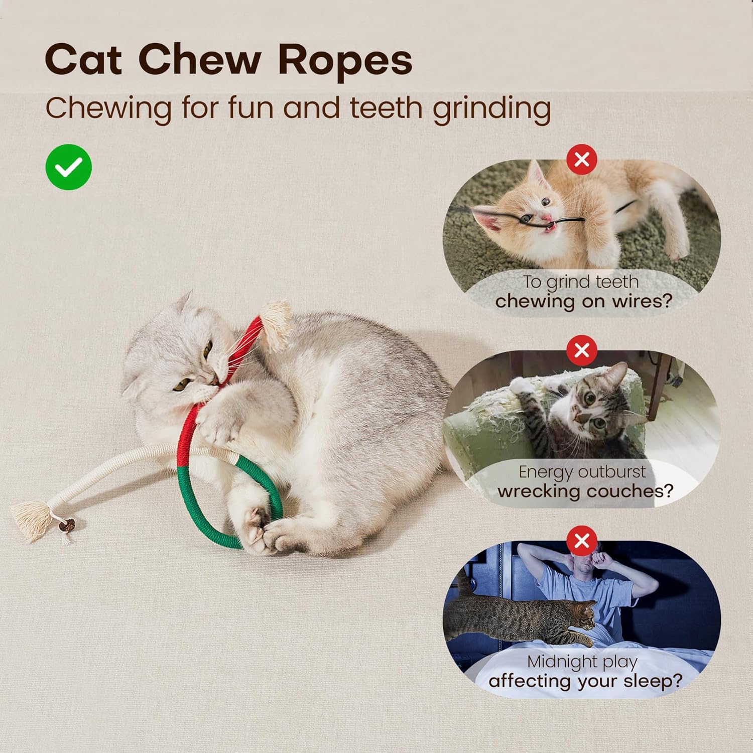 Cat and Dog Food, Pet toys,Treats, and Supplies | Free Shipping at yppet.com