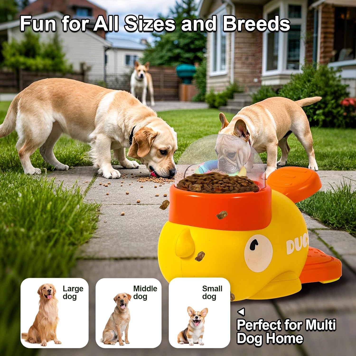 Cat and Dog Food, Pet toys,Treats, and Supplies | Free Shipping at yppet.com
