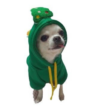 Cat and Dog Food, Pet toys,Treats, and Supplies | Free Shipping at yppet.com