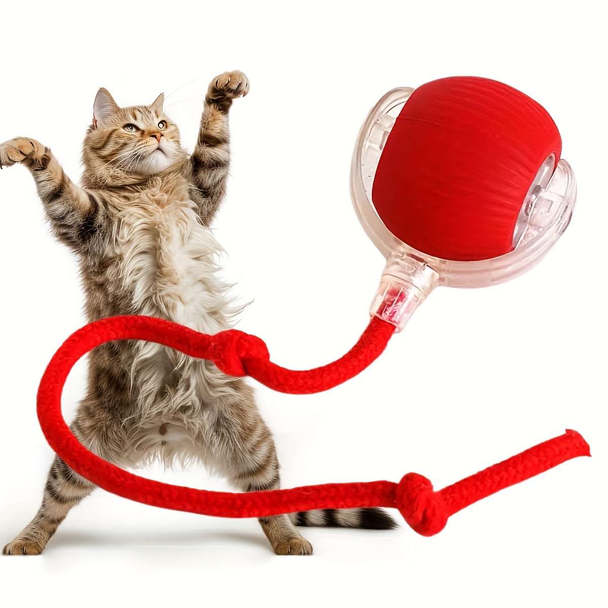 Cat and Dog Food, Pet toys,Treats, and Supplies | Free Shipping at yppet.com