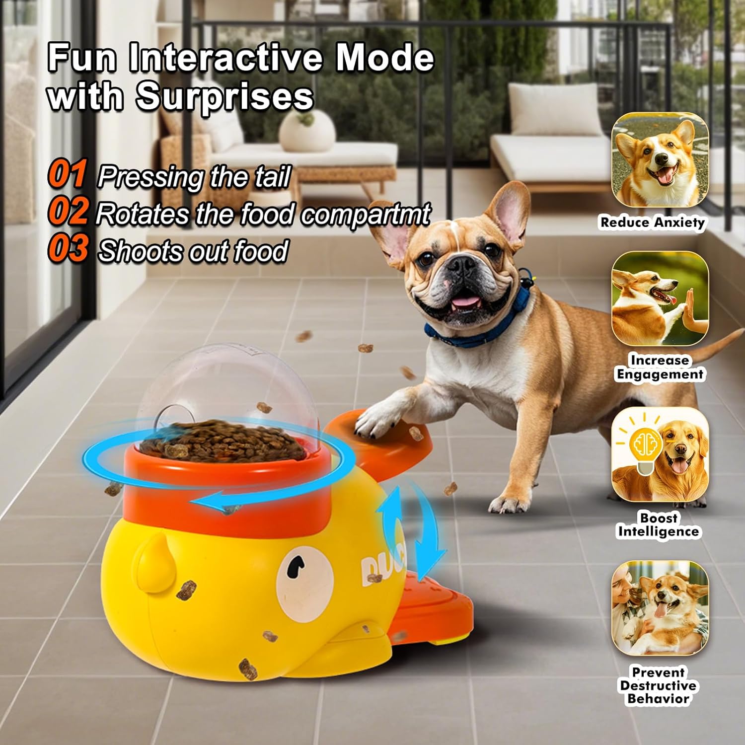 Cat and Dog Food, Pet toys,Treats, and Supplies | Free Shipping at yppet.com