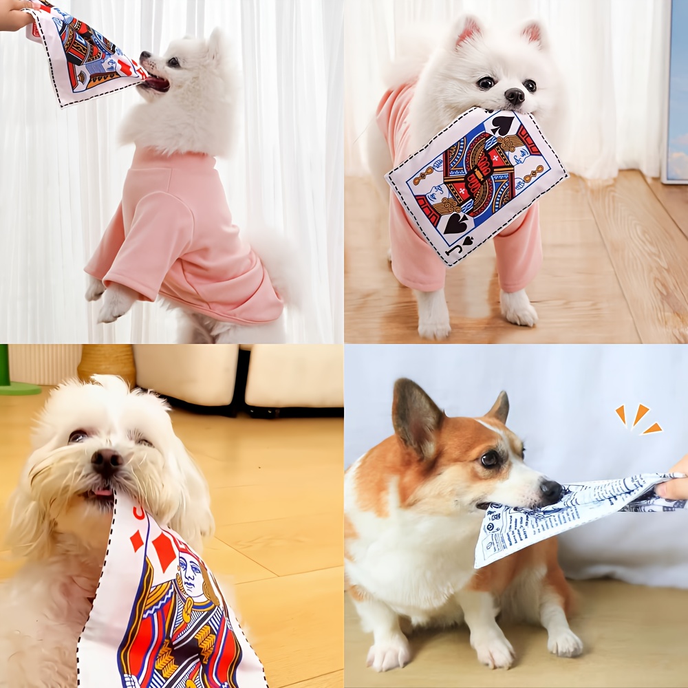 Cat and Dog Food, Pet toys,Treats, and Supplies | Free Shipping at yppet.com