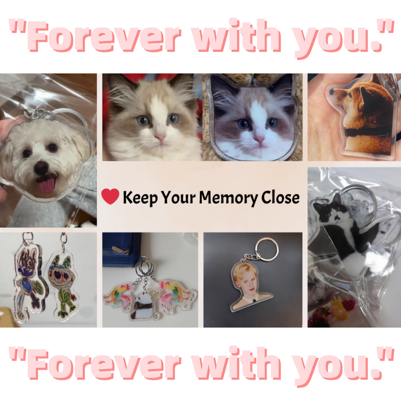 Cat and Dog Food, Pet toys,Treats, and Supplies | Free Shipping at yppet.com