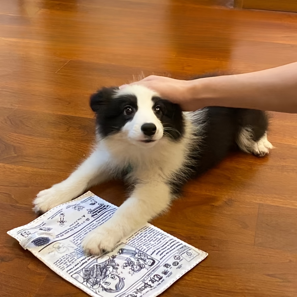 Cat and Dog Food, Pet toys,Treats, and Supplies | Free Shipping at yppet.com