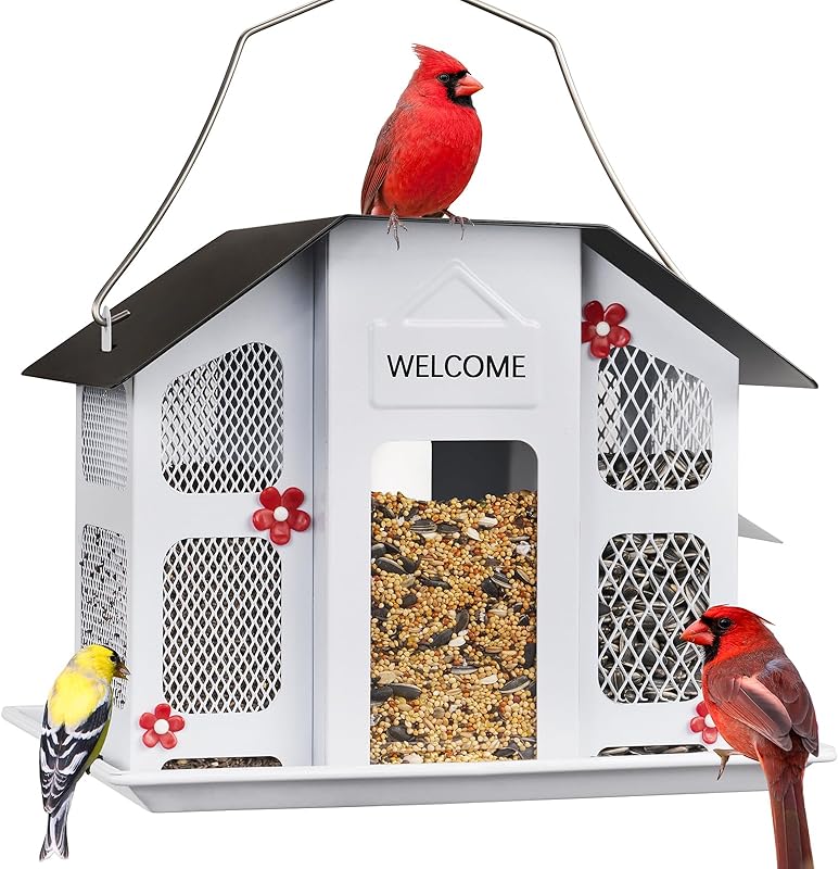 Cat and Dog Food, Pet toys,Treats, and Supplies | Free Shipping at yppet.com