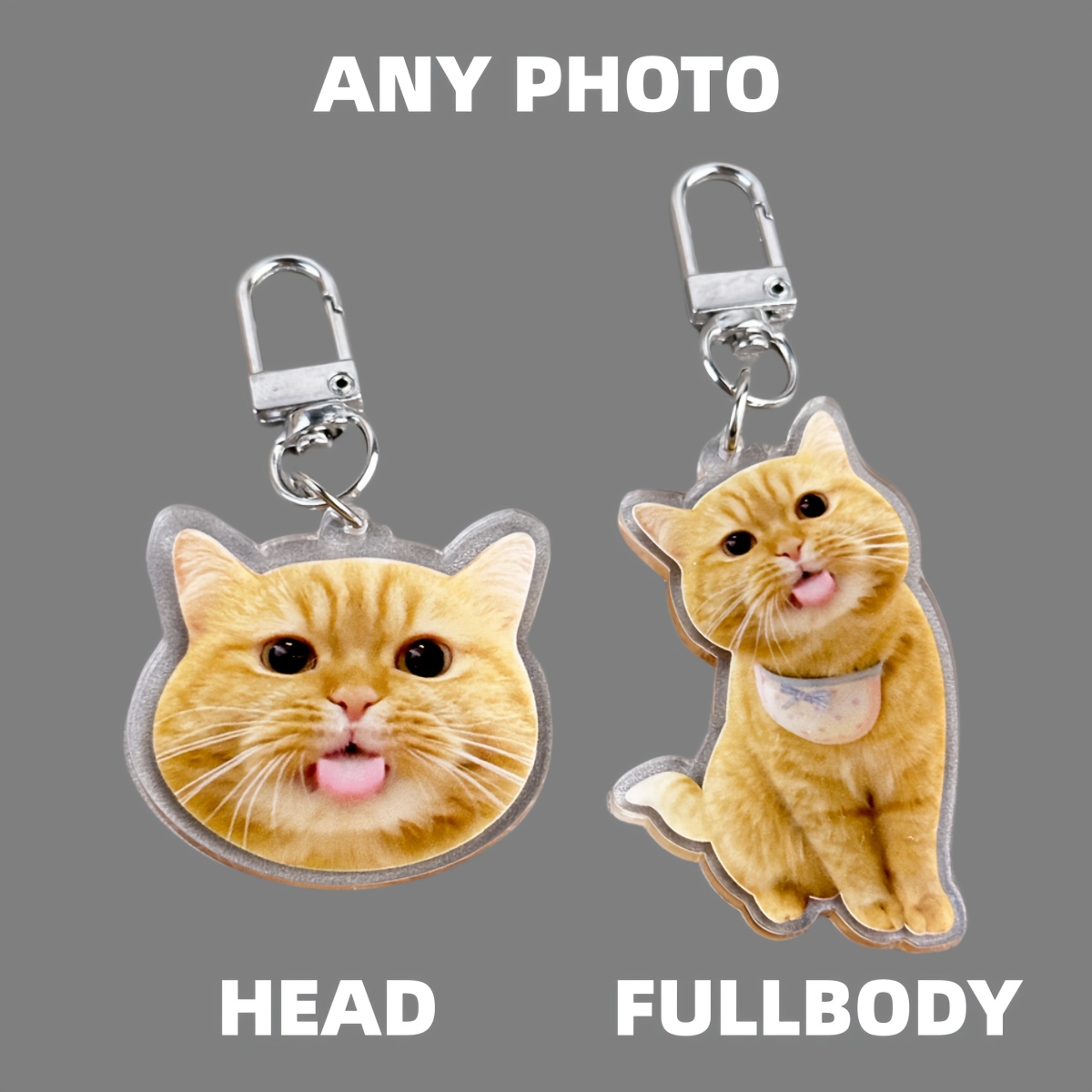 Cat and Dog Food, Pet toys,Treats, and Supplies | Free Shipping at yppet.com