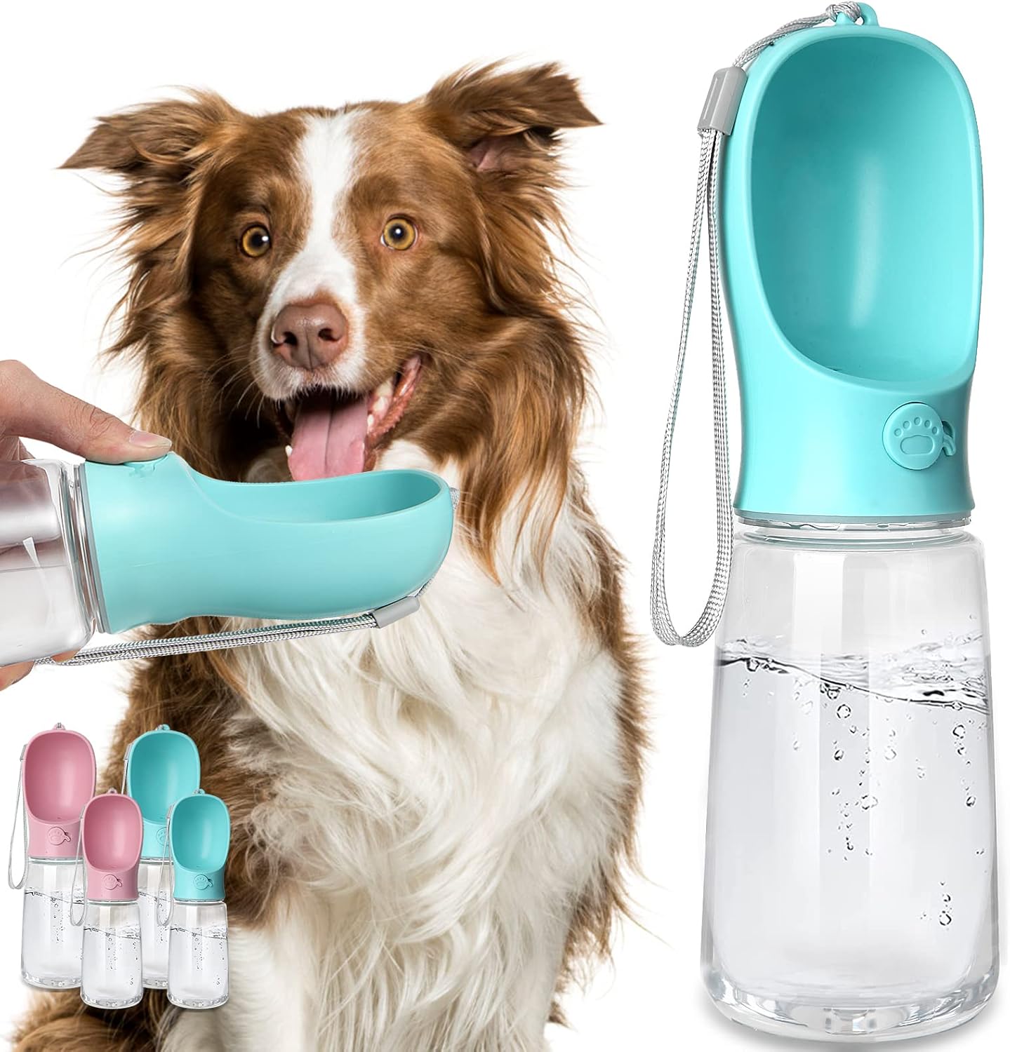 Cat and Dog Food, Pet toys,Treats, and Supplies | Free Shipping at yppet.com