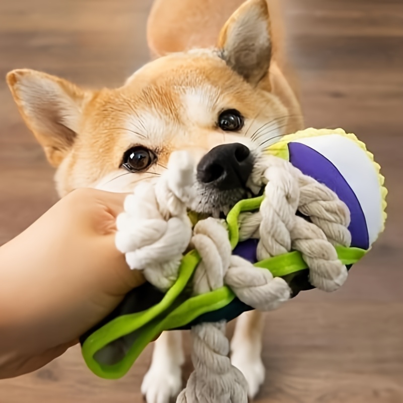 Cat and Dog Food, Pet toys,Treats, and Supplies | Free Shipping at yppet.com