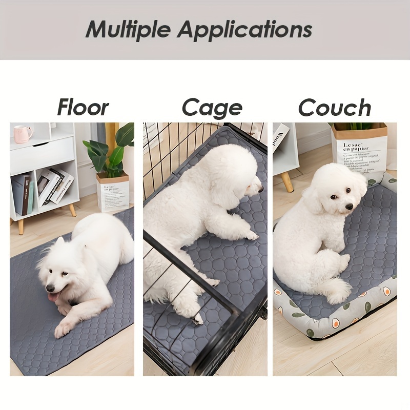 Cat and Dog Food, Pet toys,Treats, and Supplies | Free Shipping at yppet.com