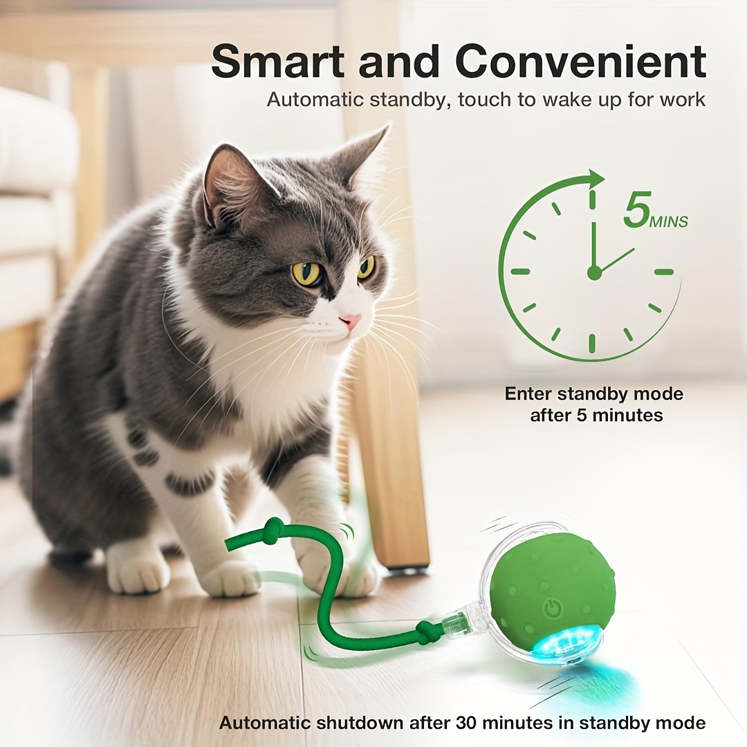 Cat and Dog Food, Pet toys,Treats, and Supplies | Free Shipping at yppet.com