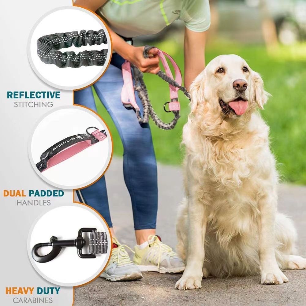 Cat and Dog Food, Pet toys,Treats, and Supplies | Free Shipping at yppet.com