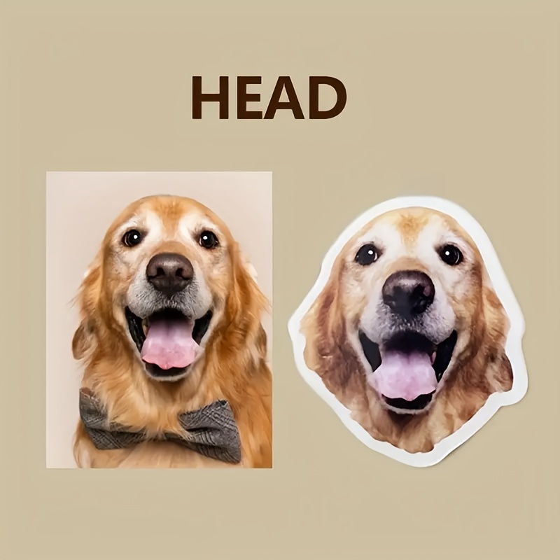 Cat and Dog Food, Pet toys,Treats, and Supplies | Free Shipping at yppet.com