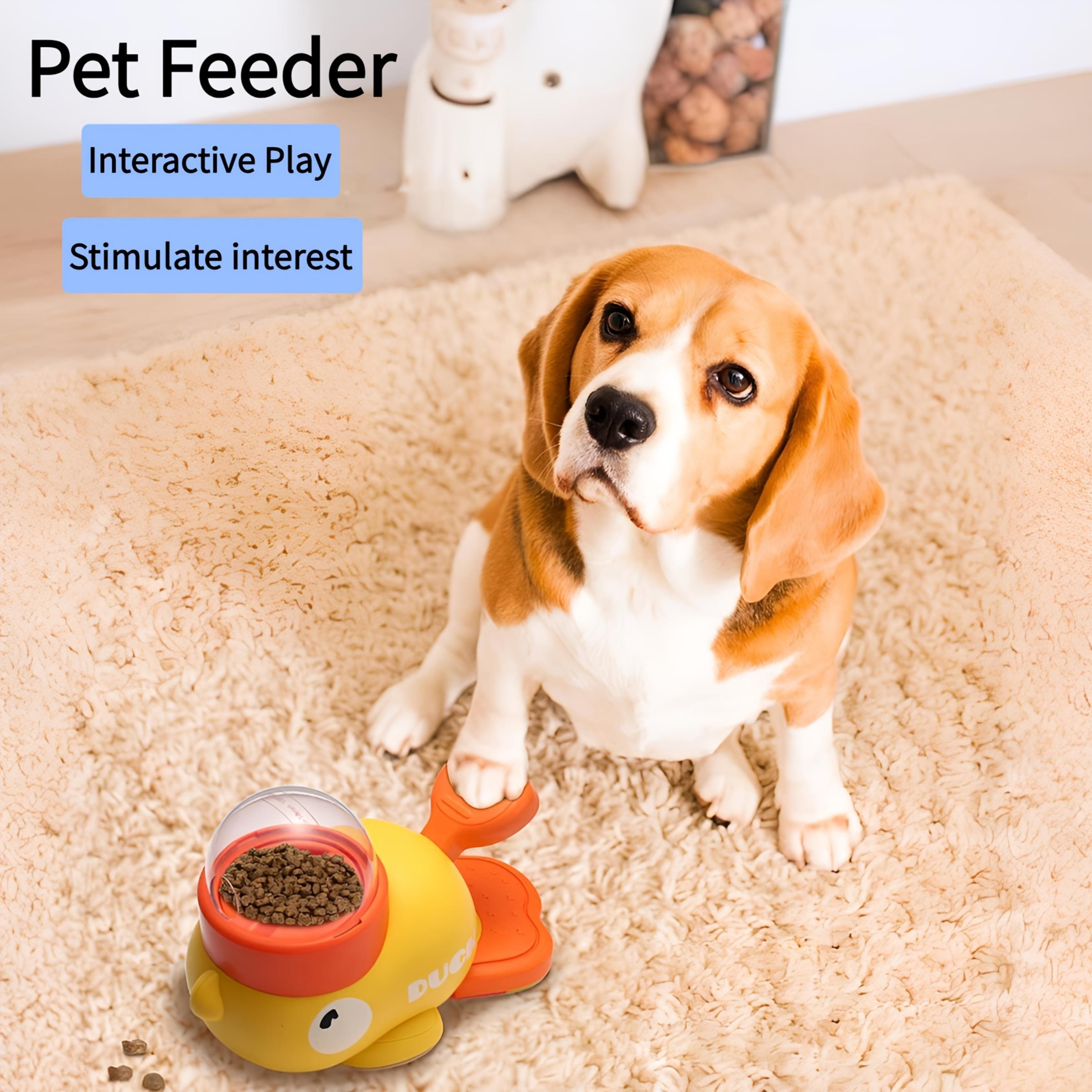 Cat and Dog Food, Pet toys,Treats, and Supplies | Free Shipping at yppet.com