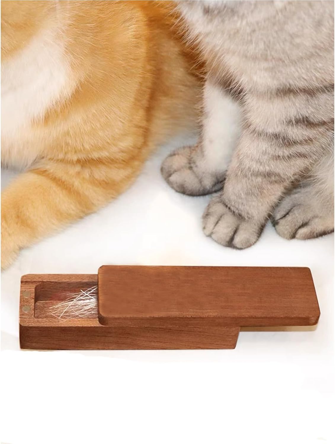 Cat and Dog Food, Pet toys,Treats, and Supplies | Free Shipping at yppet.com