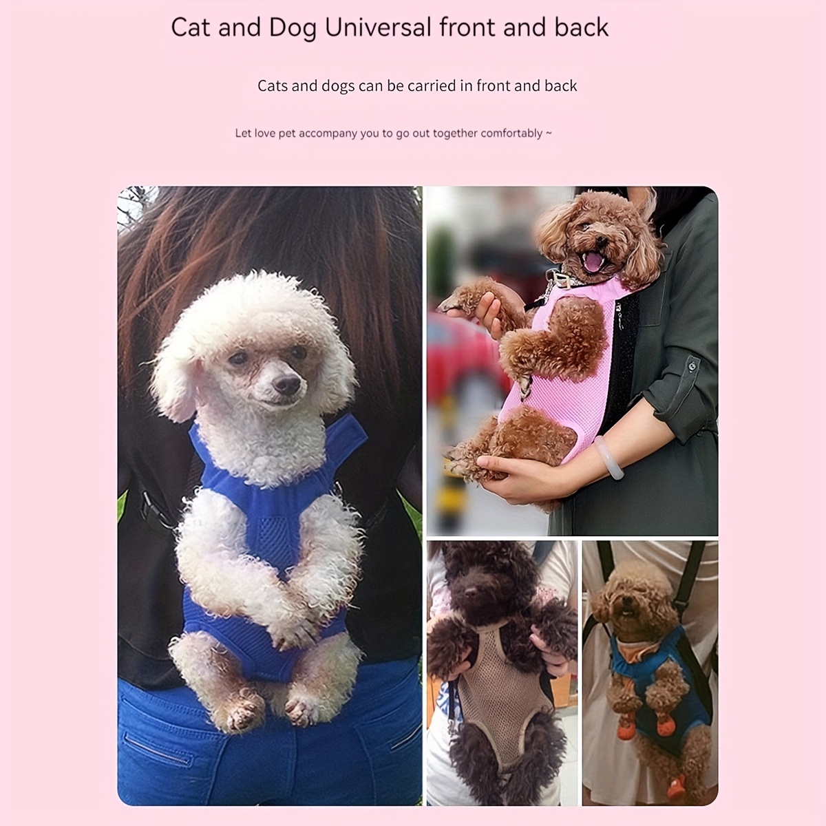 Cat and Dog Food, Pet toys,Treats, and Supplies | Free Shipping at yppet.com