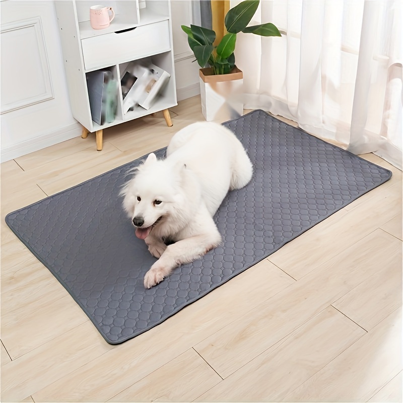 Cat and Dog Food, Pet toys,Treats, and Supplies | Free Shipping at yppet.com