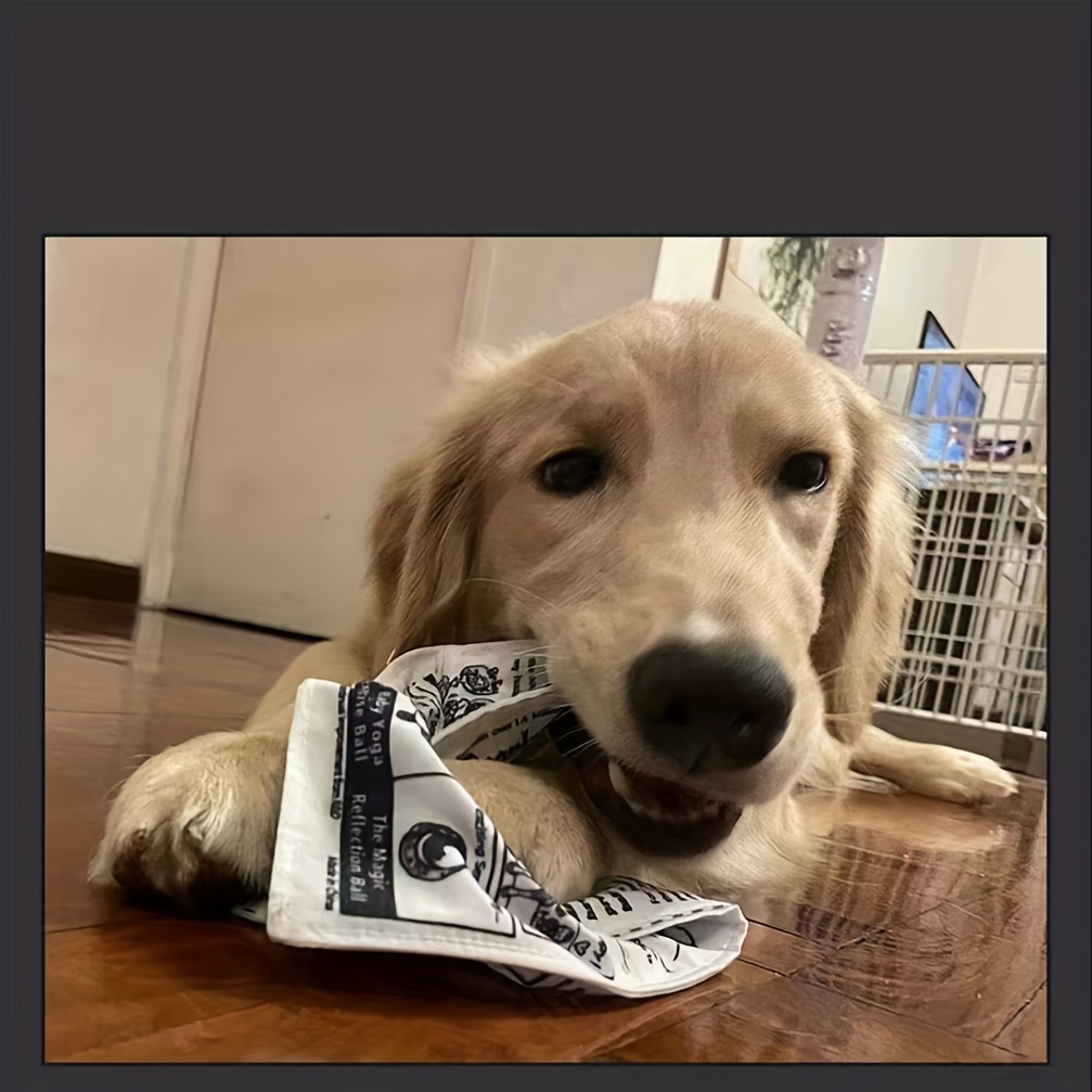 Cat and Dog Food, Pet toys,Treats, and Supplies | Free Shipping at yppet.com