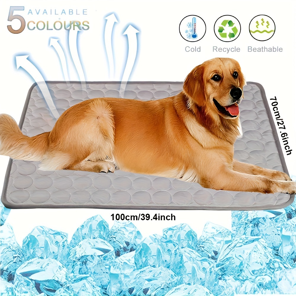 Cat and Dog Food, Pet toys,Treats, and Supplies | Free Shipping at yppet.com