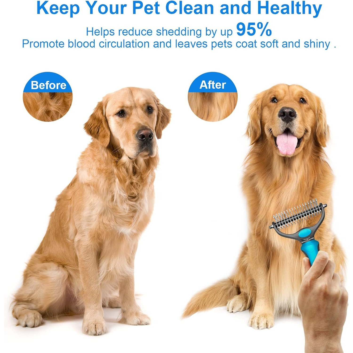 Cat and Dog Food, Pet toys,Treats, and Supplies | Free Shipping at yppet.com