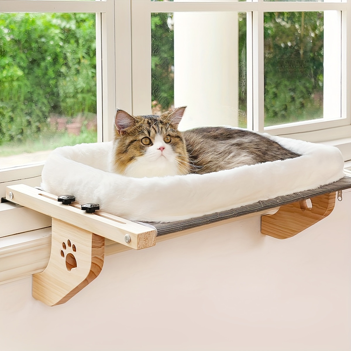 Cat and Dog Food, Pet toys,Treats, and Supplies | Free Shipping at yppet.com