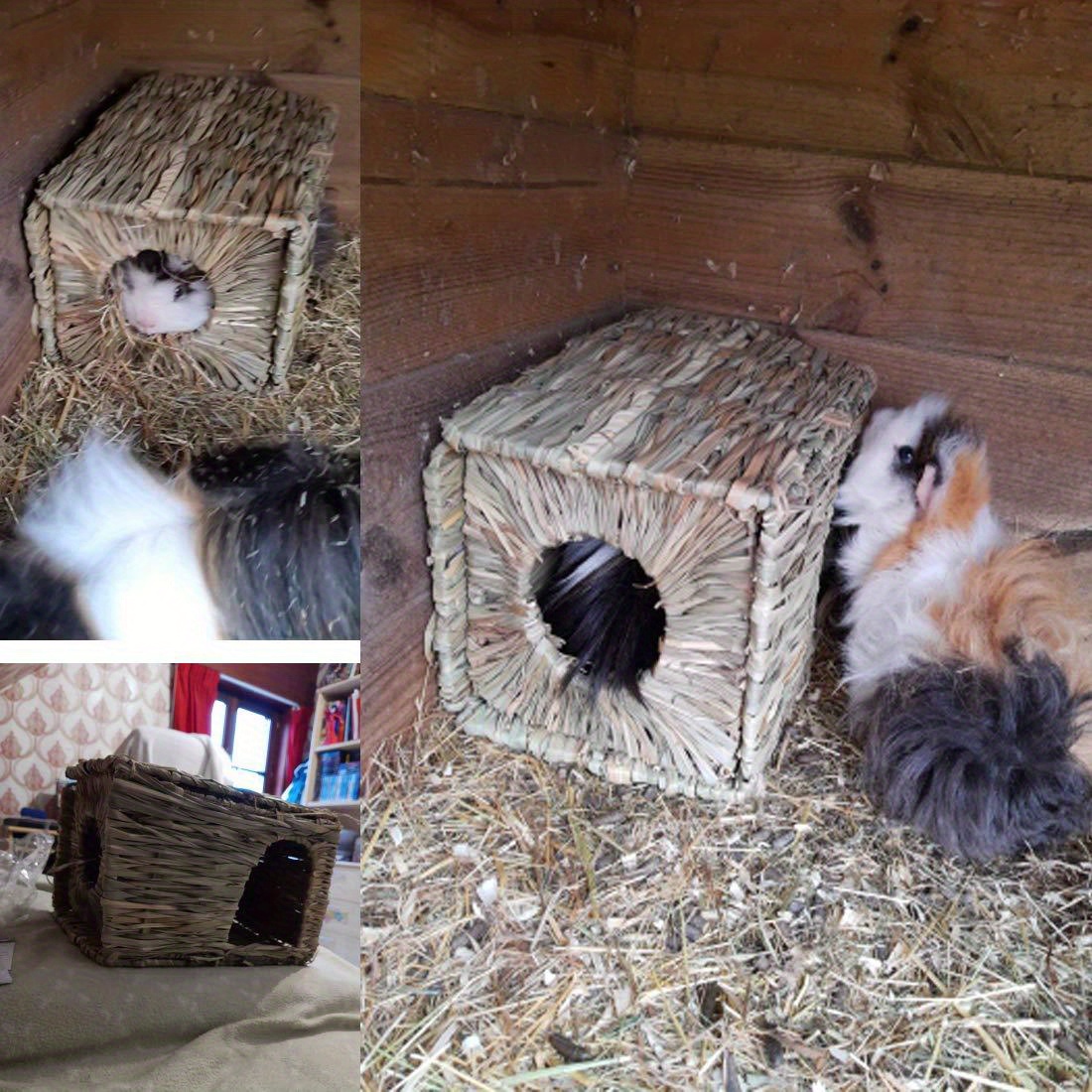 Cat and Dog Food, Pet toys,Treats, and Supplies | Free Shipping at yppet.com