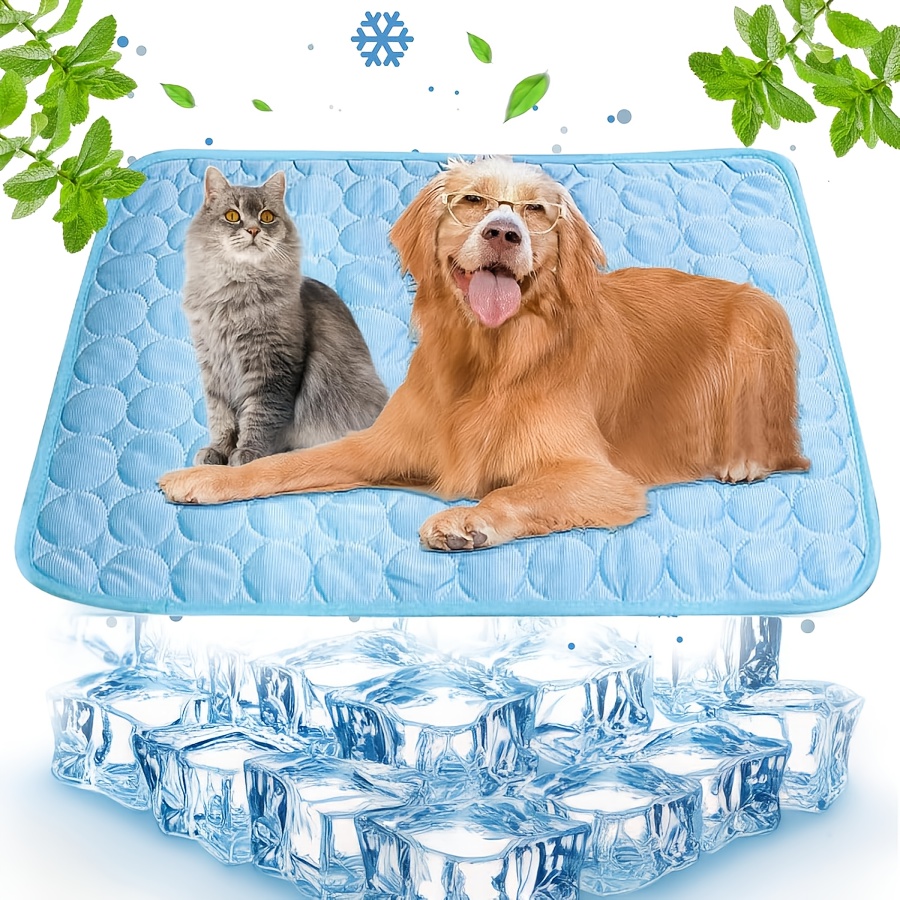 Cat and Dog Food, Pet toys,Treats, and Supplies | Free Shipping at yppet.com