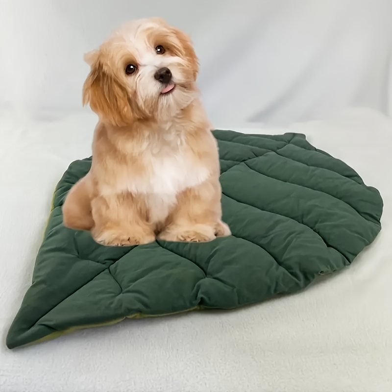Cat and Dog Food, Pet toys,Treats, and Supplies | Free Shipping at yppet.com