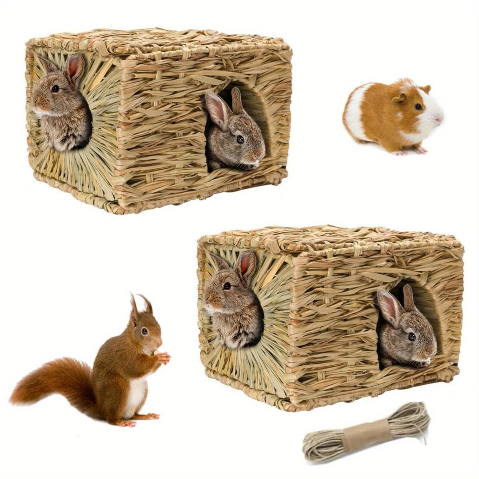 Cat and Dog Food, Pet toys,Treats, and Supplies | Free Shipping at yppet.com