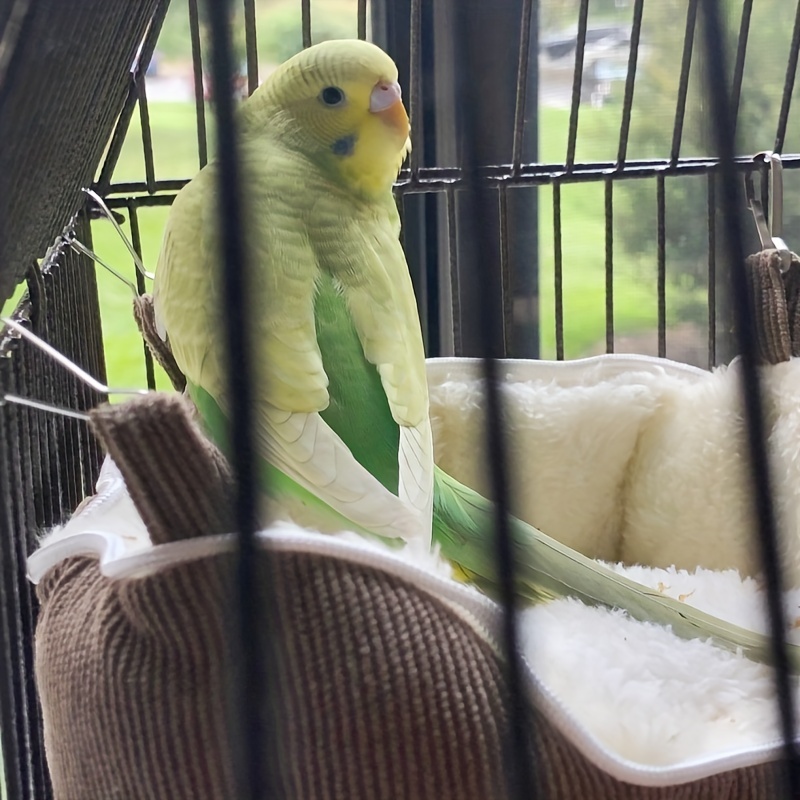 Cat and Dog Food, Pet toys,Treats, and Supplies | Free Shipping at yppet.com