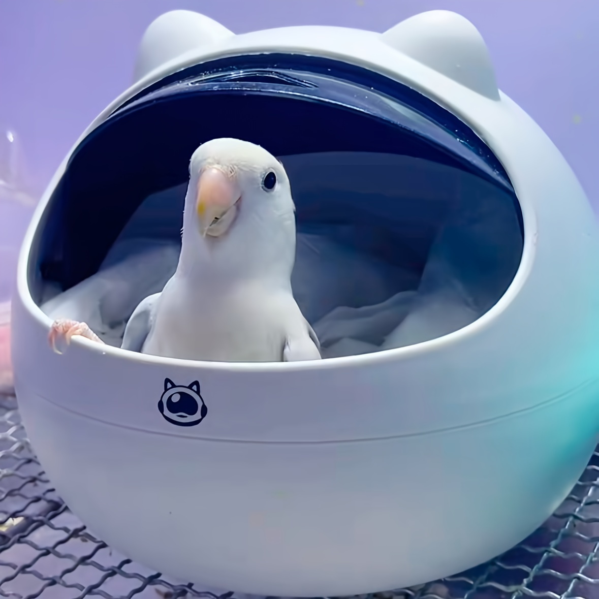 Cat and Dog Food, Pet toys,Treats, and Supplies | Free Shipping at yppet.com