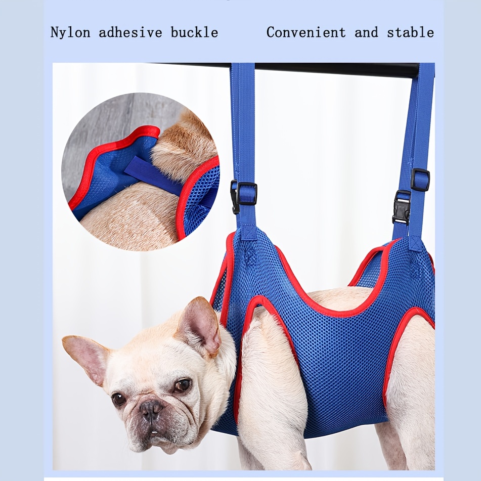 Cat and Dog Food, Pet toys,Treats, and Supplies | Free Shipping at yppet.com