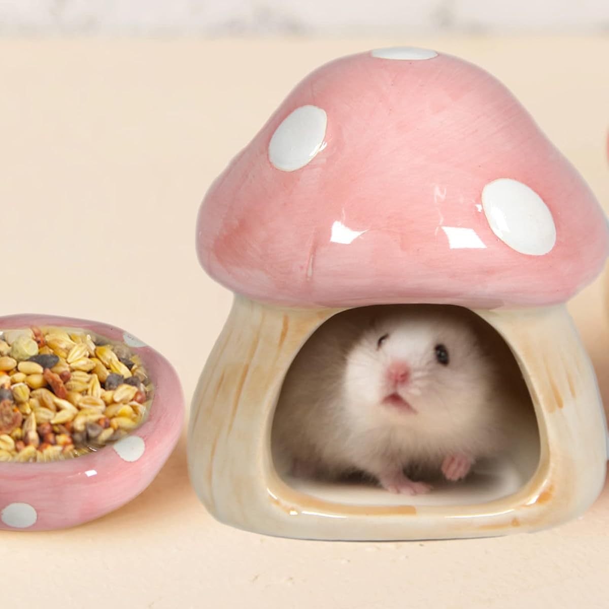 Cat and Dog Food, Pet toys,Treats, and Supplies | Free Shipping at yppet.com