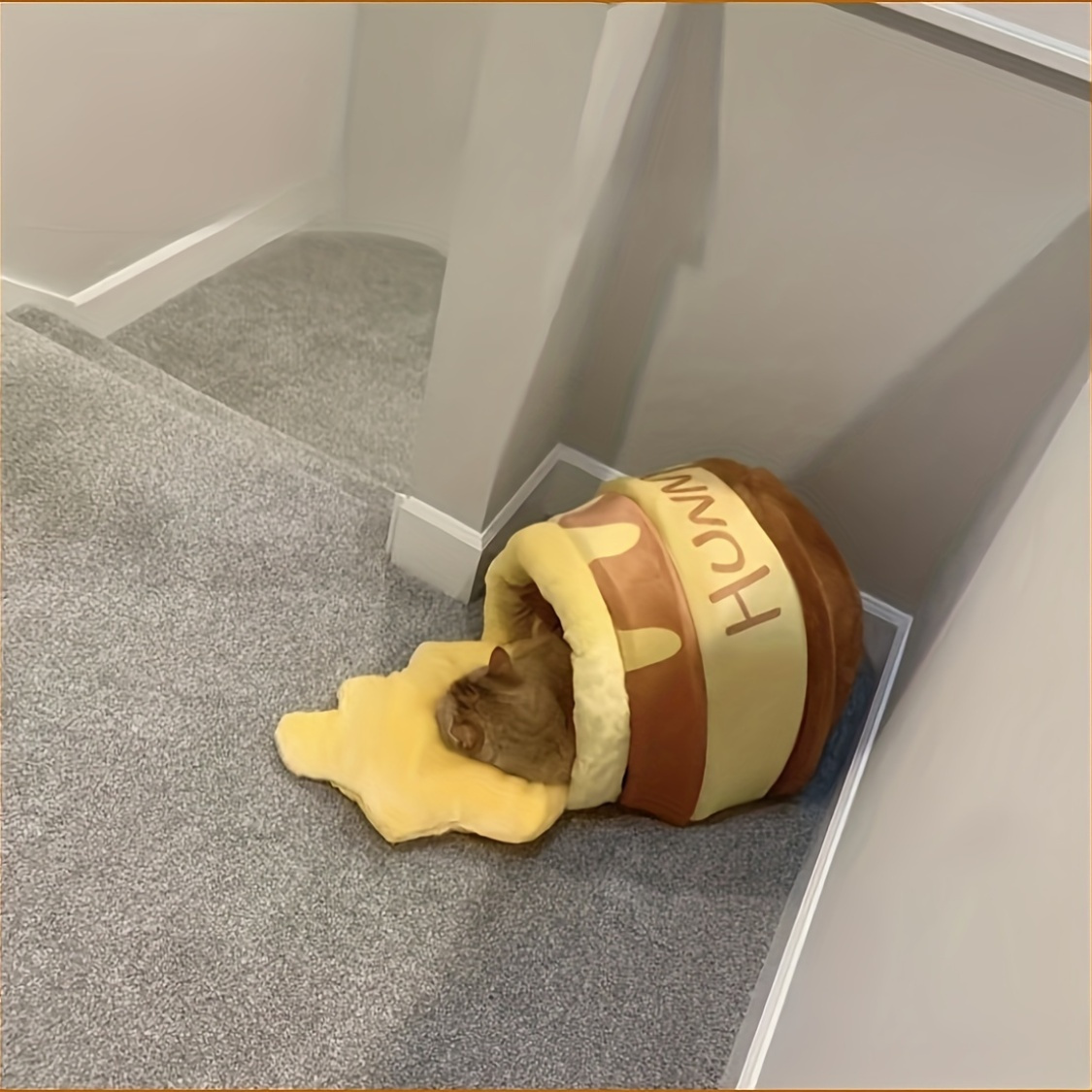 Cat and Dog Food, Pet toys,Treats, and Supplies | Free Shipping at yppet.com