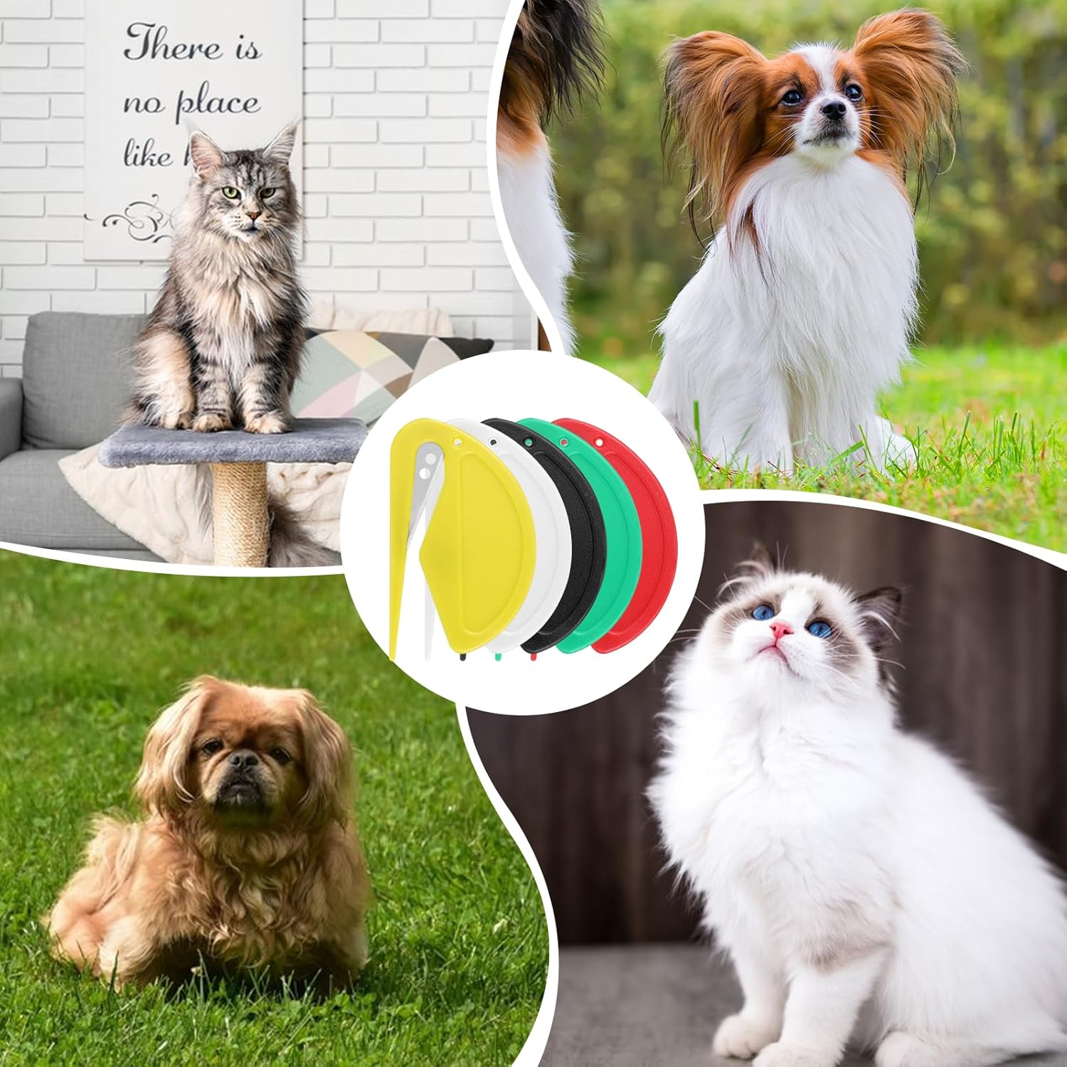 Cat and Dog Food, Pet toys,Treats, and Supplies | Free Shipping at yppet.com
