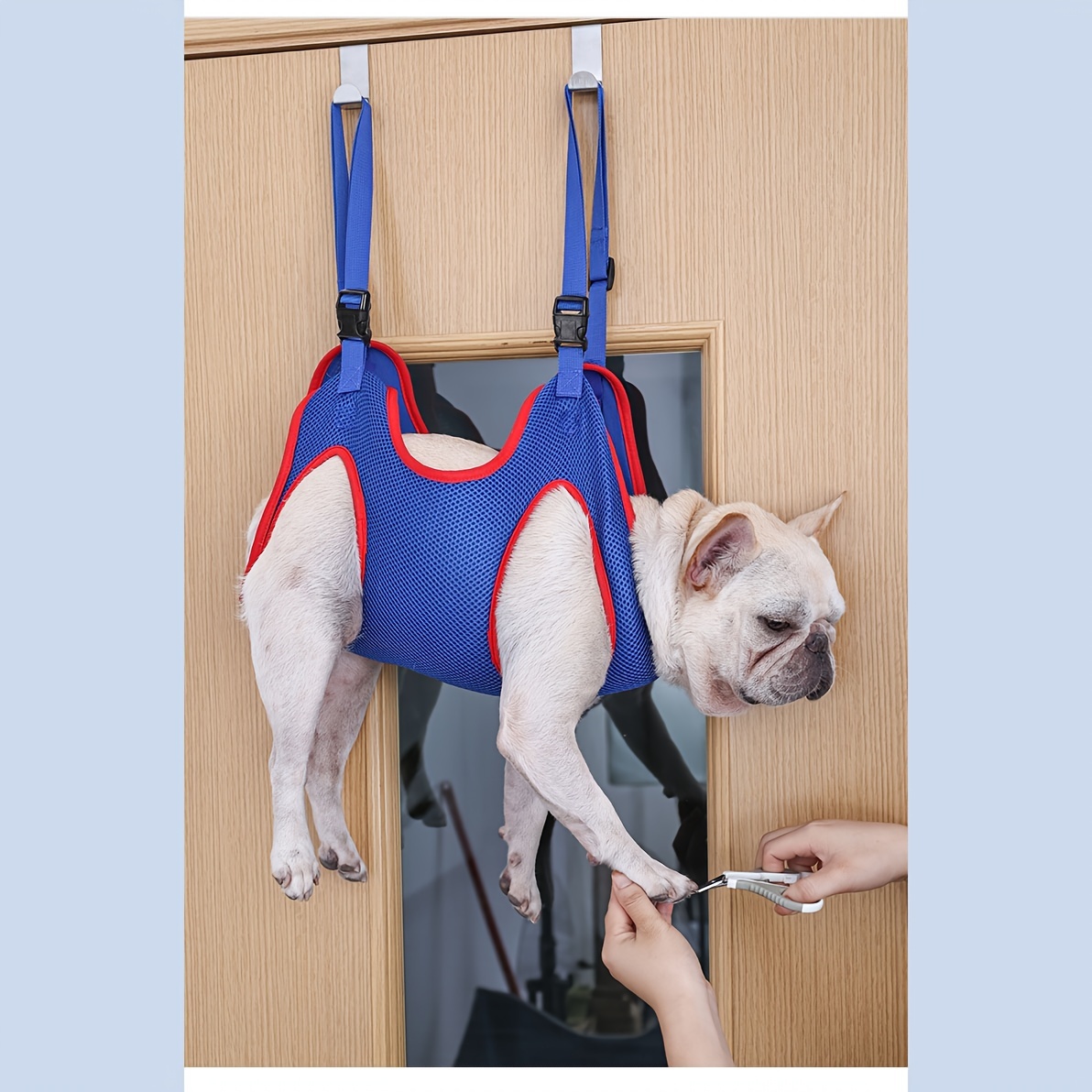 Cat and Dog Food, Pet toys,Treats, and Supplies | Free Shipping at yppet.com