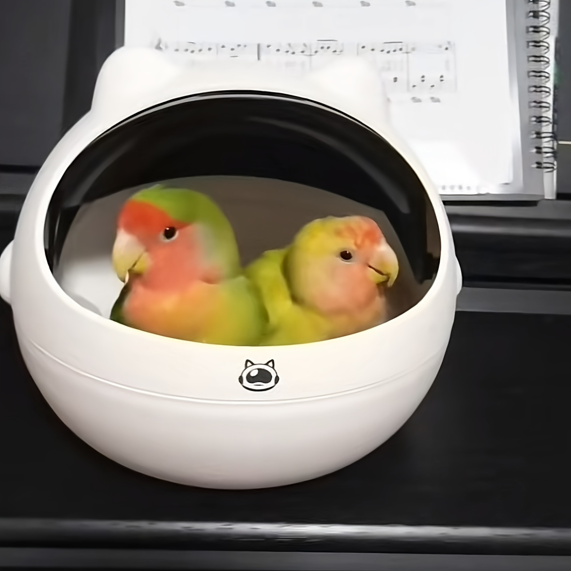 Cat and Dog Food, Pet toys,Treats, and Supplies | Free Shipping at yppet.com