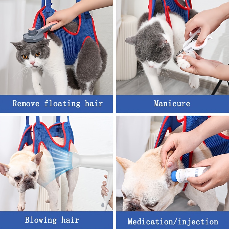 Cat and Dog Food, Pet toys,Treats, and Supplies | Free Shipping at yppet.com