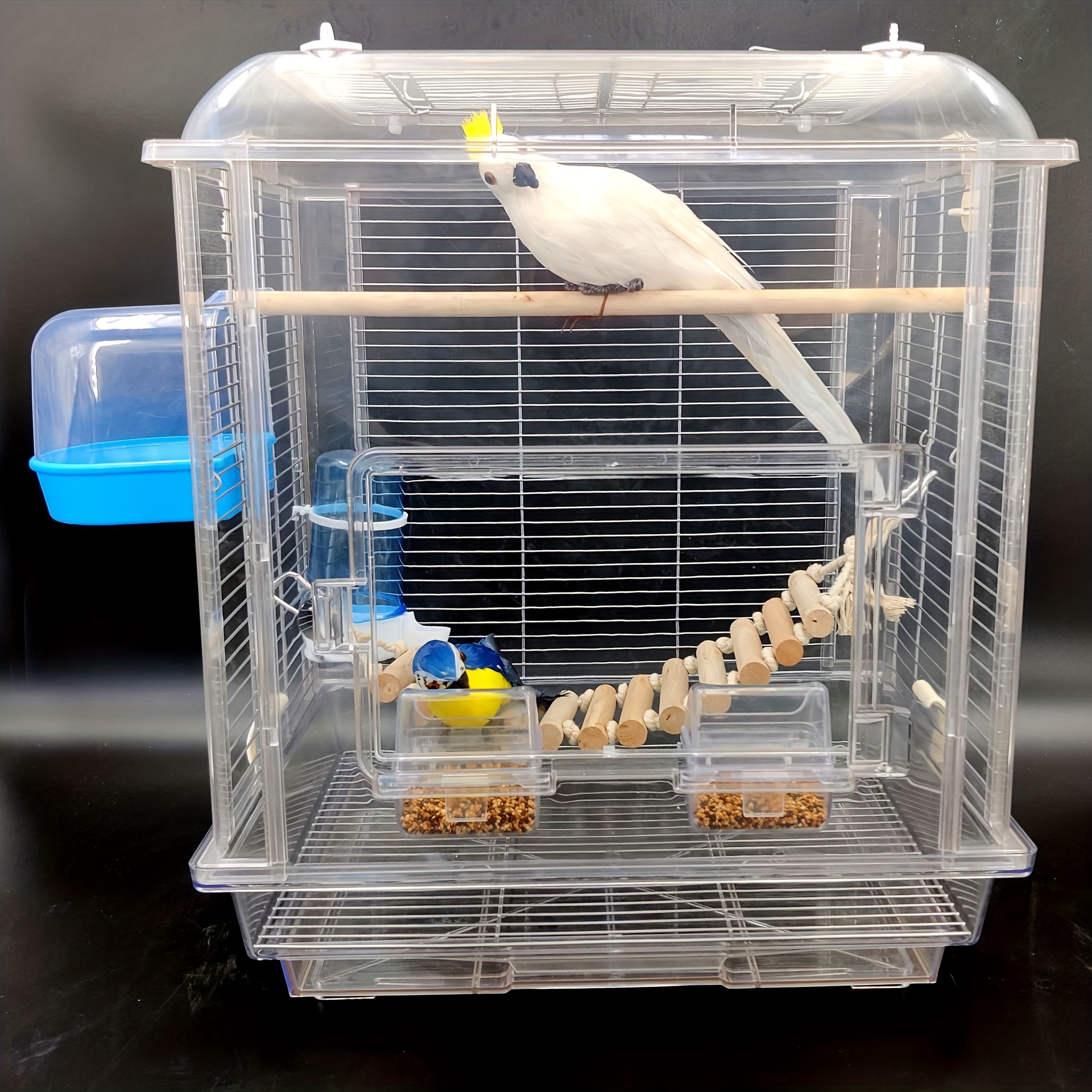 Cat and Dog Food, Pet toys,Treats, and Supplies | Free Shipping at yppet.com