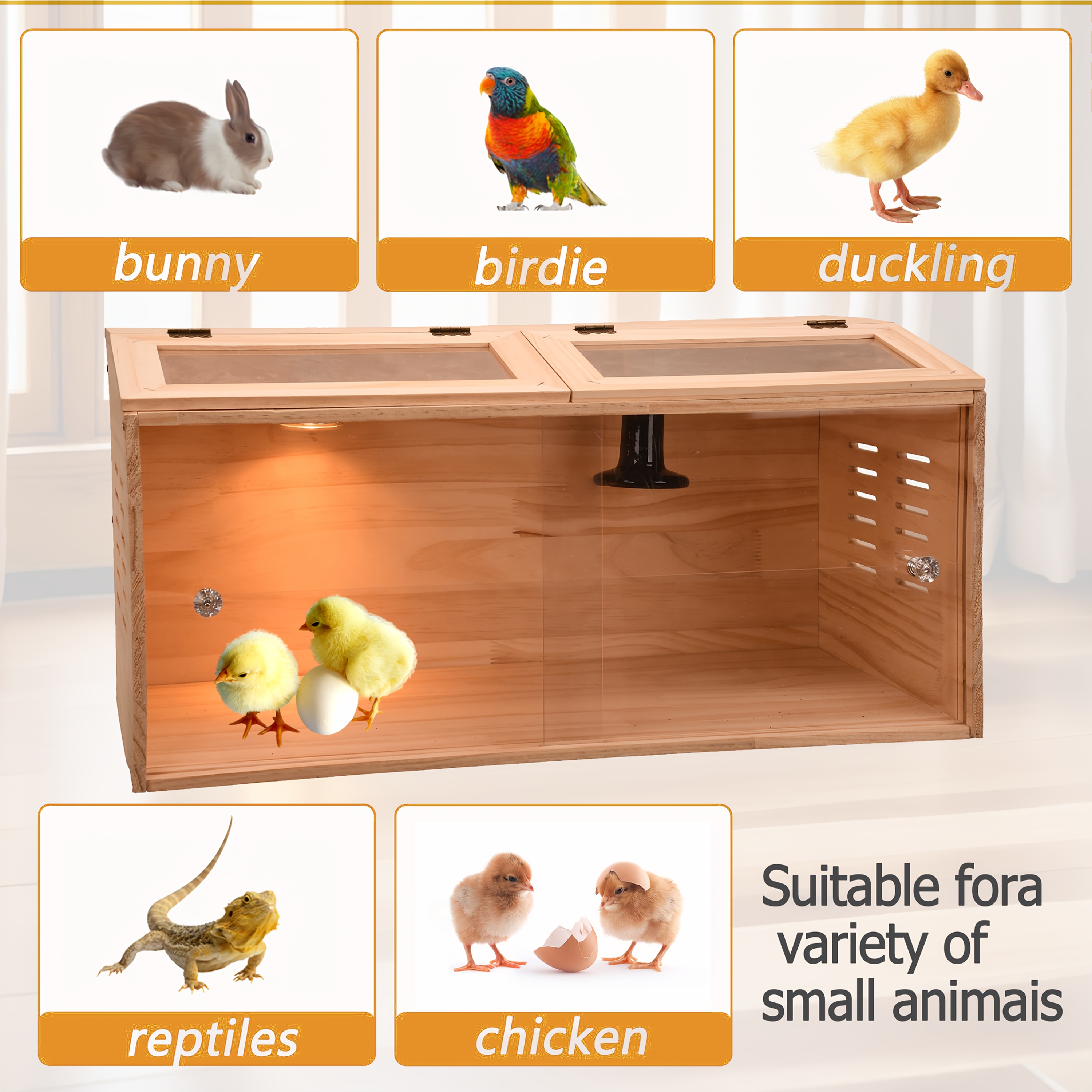 Cat and Dog Food, Pet toys,Treats, and Supplies | Free Shipping at yppet.com