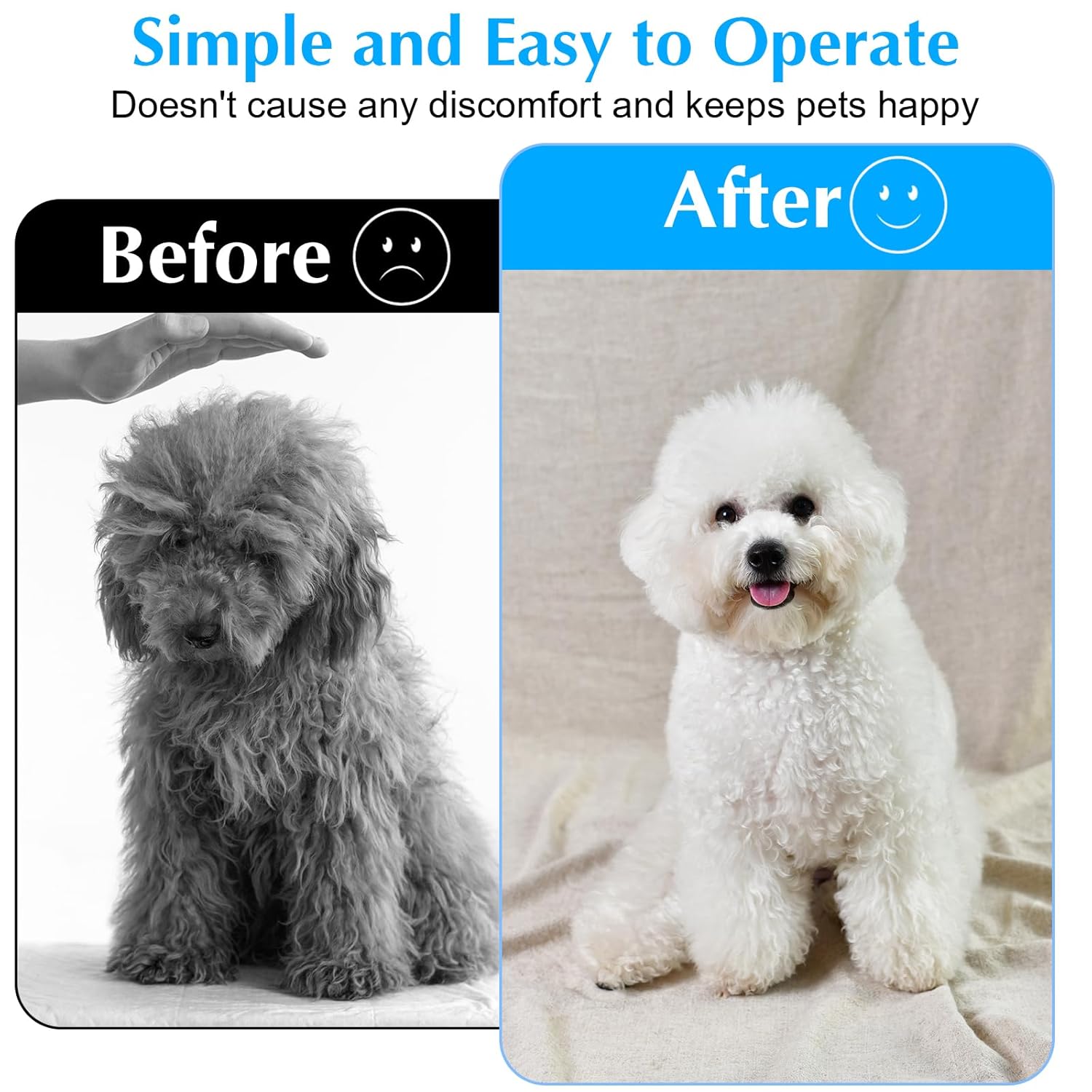 Cat and Dog Food, Pet toys,Treats, and Supplies | Free Shipping at yppet.com