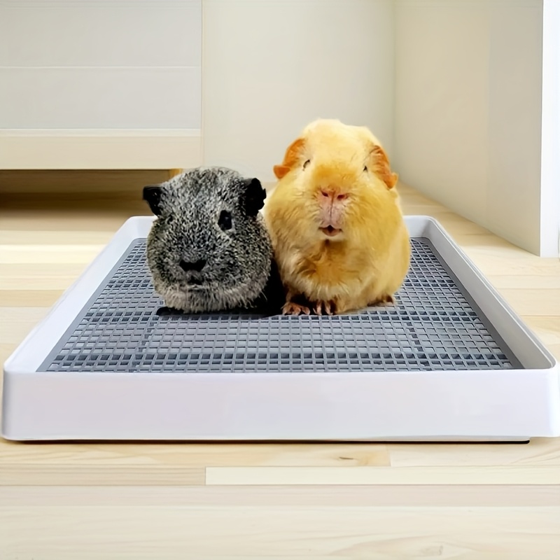 Cat and Dog Food, Pet toys,Treats, and Supplies | Free Shipping at yppet.com